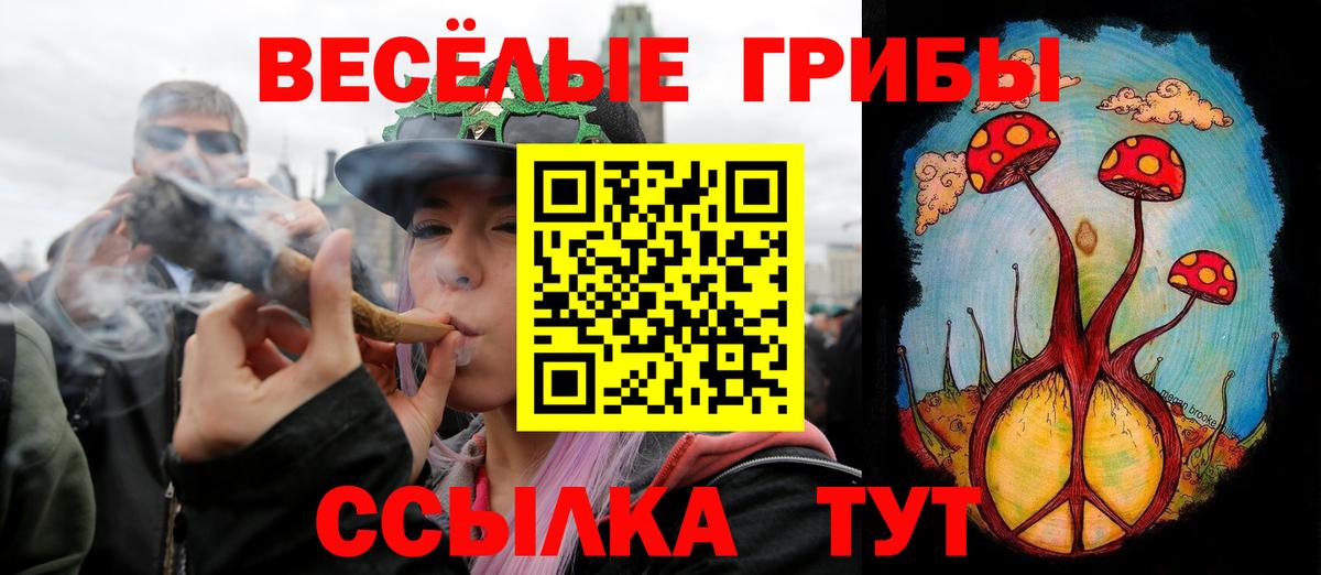 Псилоцибиновые грибы мицелий Нурлат
